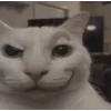 🤩
