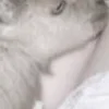 ⭐