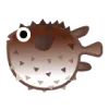 🐡