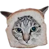 🐈