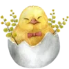 🐣