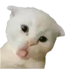 😝