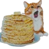 🐱
