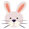 🐰