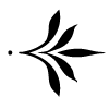 🔠