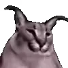 😺