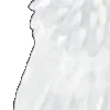⭐