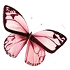 🦋