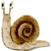 🐌