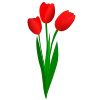 🌺