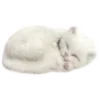 😴