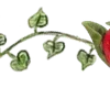 🍓