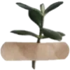 🌿