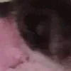 🐾