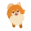 🐶