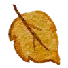 🍂