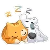 😴