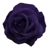 💜