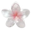 🌺