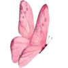 🦋