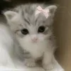 🎀