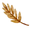 🍂