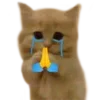 🙏