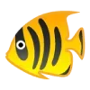 🐠