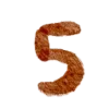 5⃣
