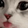 👅