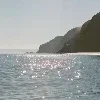 🌊