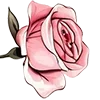 🌹