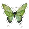 🦋
