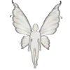 🦋