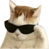 😎