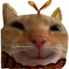🐱