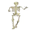 💀