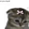 🎀