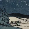 ❄️