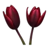 🌷