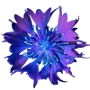♾