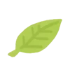 🍃