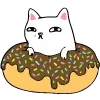 🍩