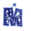 🌟