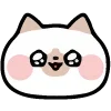 😽