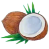 🥥