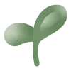 🌱