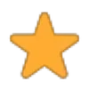 🌟