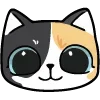 🐱