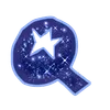 🌟